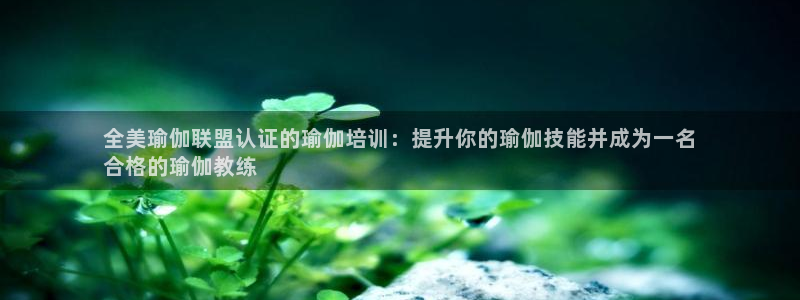 欧洲杯买球手机app
