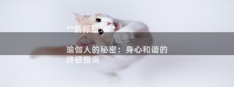 欧洲杯下赌注平台