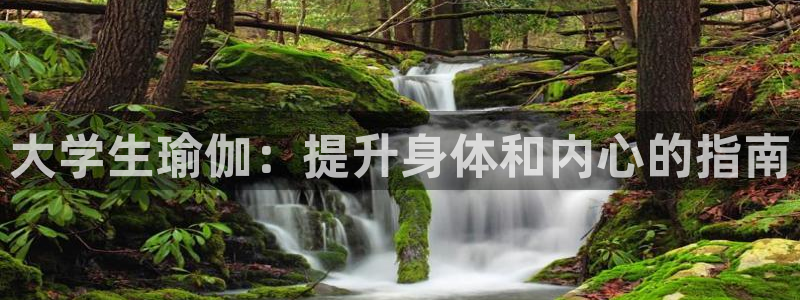 2024欧洲杯买球推荐