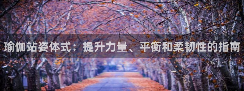 欧洲杯投注官方网站入口