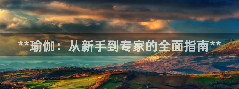 欧洲杯在哪个网站购买