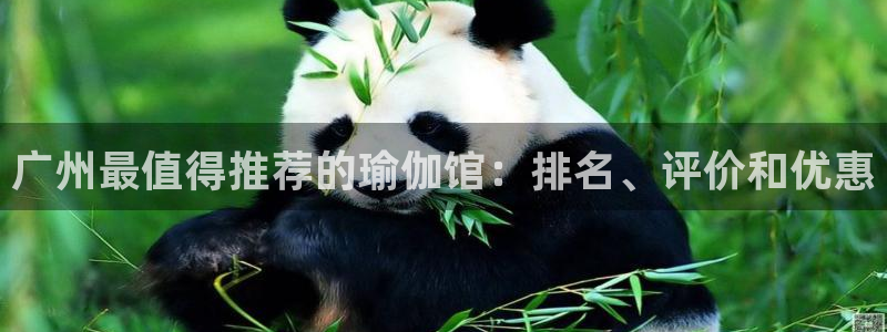 欧洲杯投注推荐网站