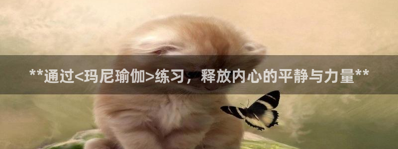 欧洲杯靠谱买球平台