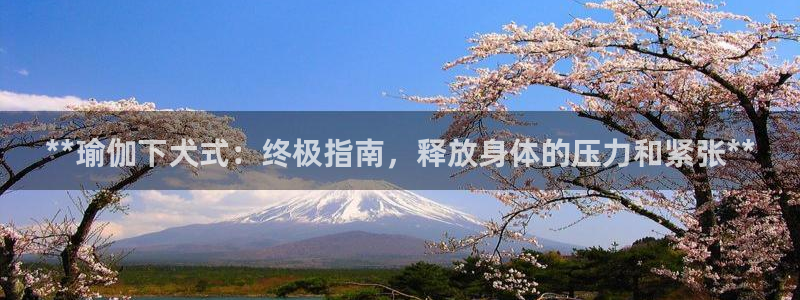 2024欧洲杯全部赛程