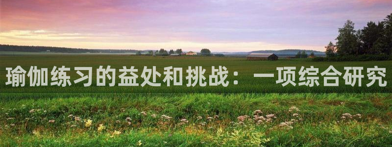 十大靠谱外围买球网站