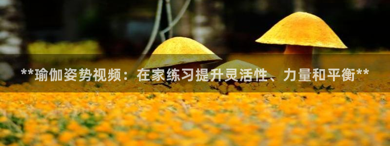 欧洲杯投注推荐网站