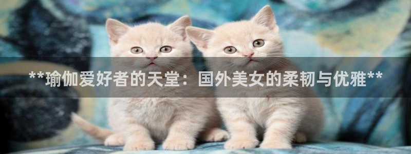 欧洲杯买足球软件有哪些