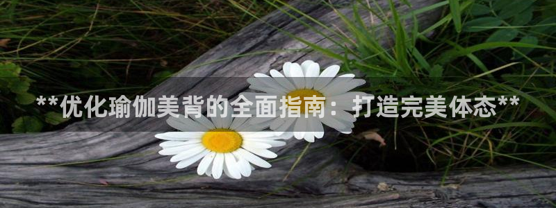 2024正规欧洲杯平台