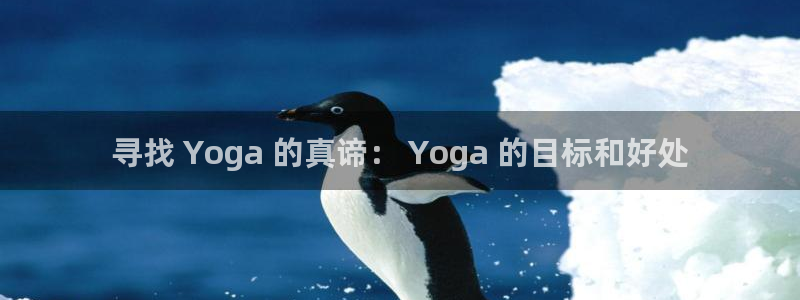 网上哪个平台可以买足球
