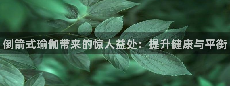 欧洲杯买球网