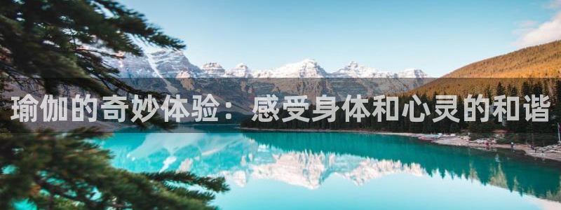 欧洲杯下单平台官网网址