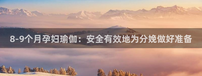2024欧洲杯买球手机版