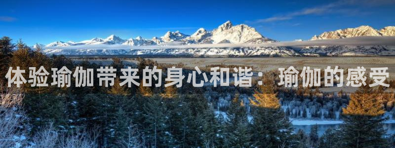 2024欧洲杯押注官网
