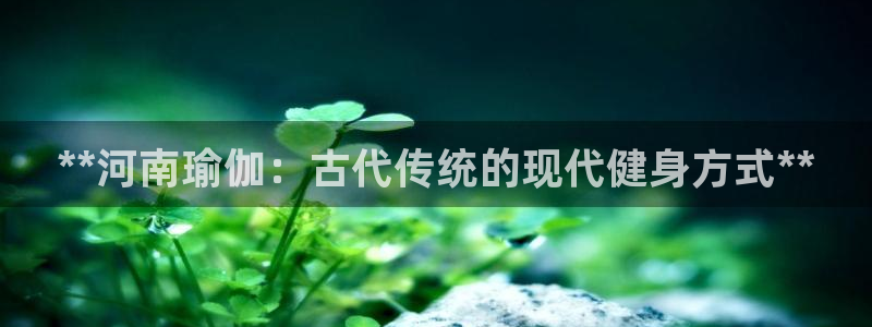 怎么买欧洲杯